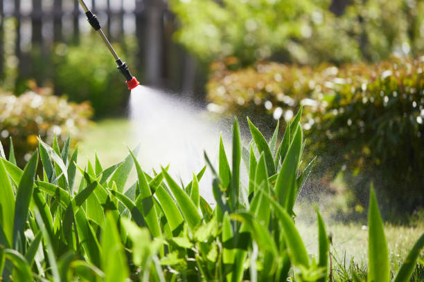 24/7 Emergency Mosquito Control experts in Lansing, IL