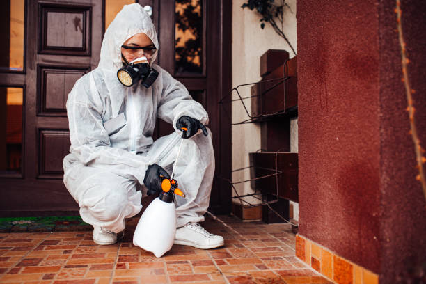 Reliable Mosquito Control contractor in Lansing, IL by Show Me Pest Control